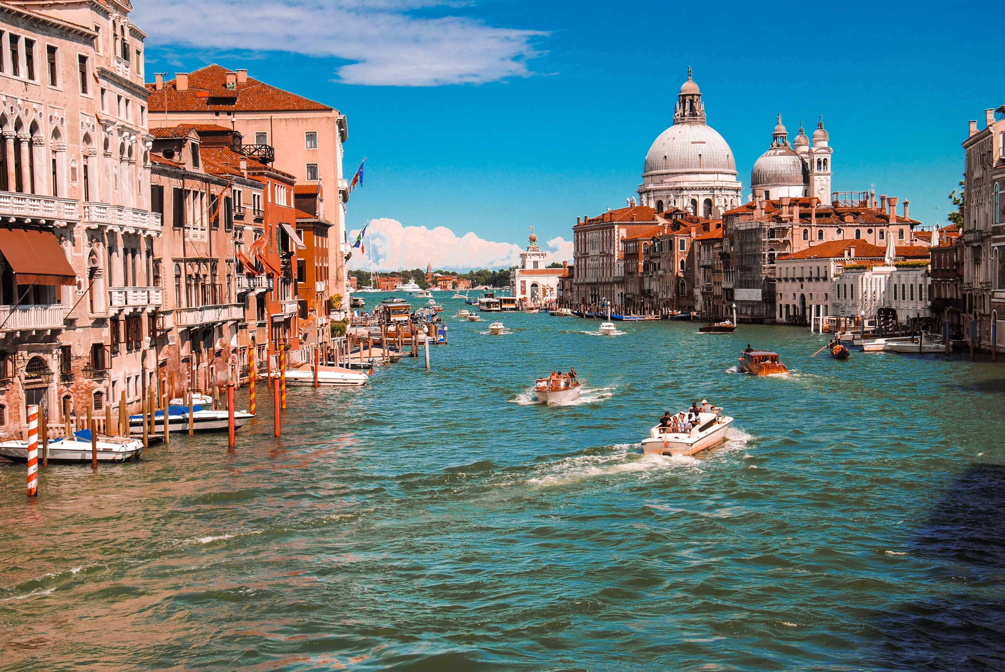 dan-novac-1naE8177_bI-unsplash dan-novac-1naE8177_bI-unsplash